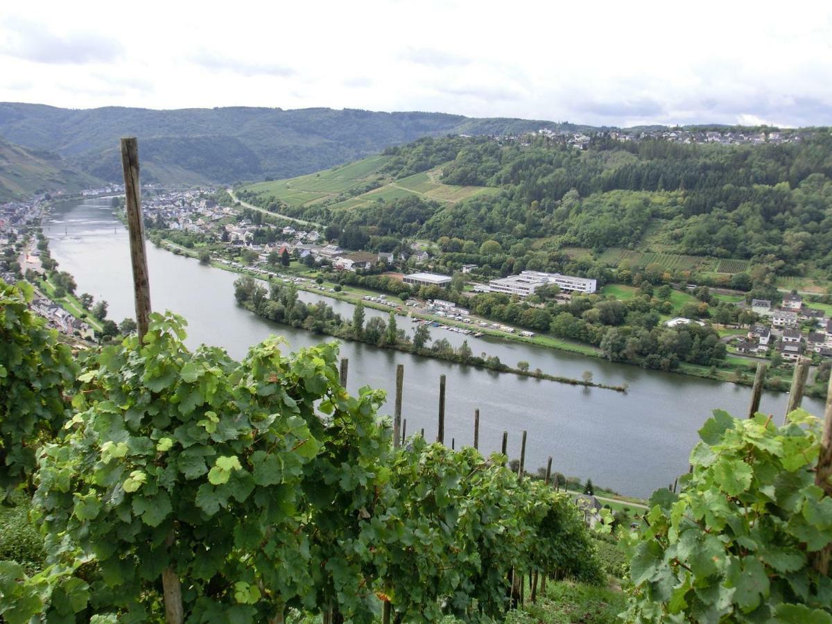 Apartament Beim Winzer Zell an der Mosel Zewnętrze zdjęcie